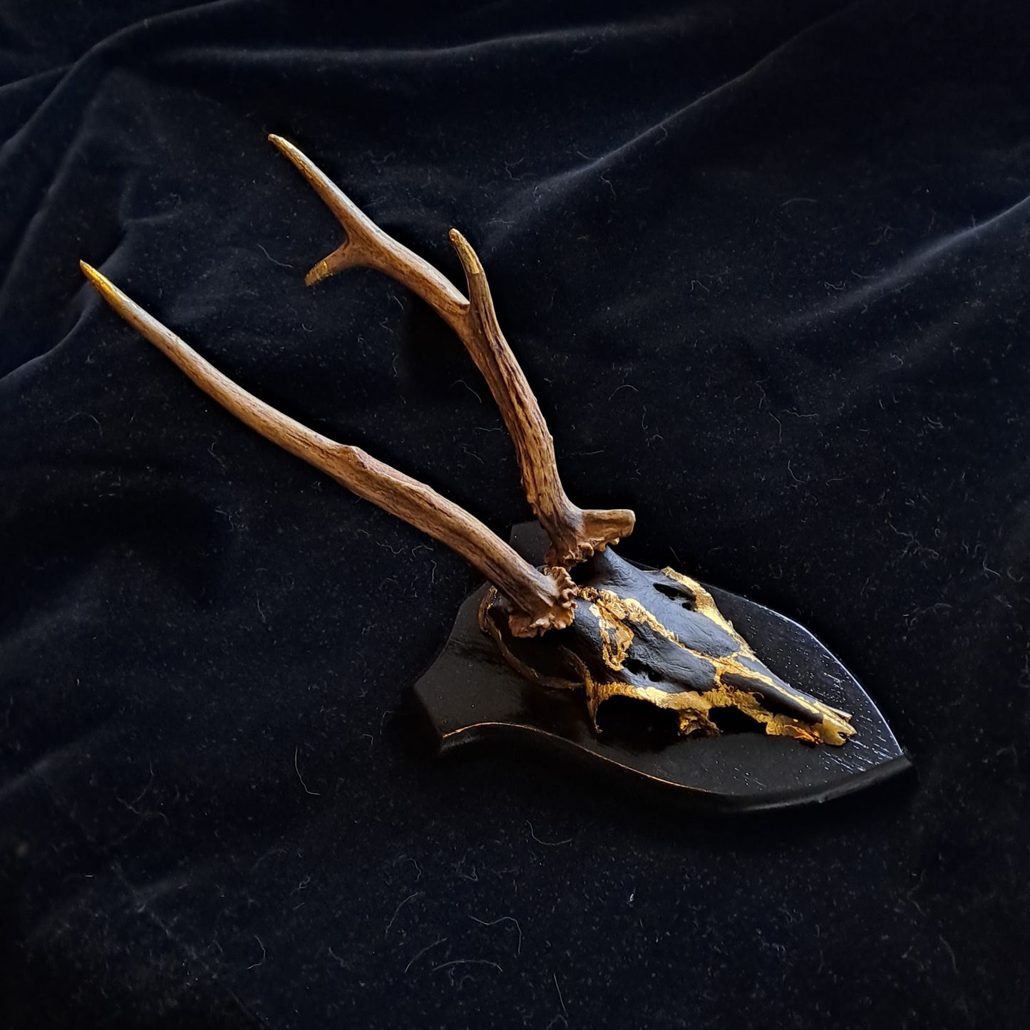 Dark Magic Deer Skull