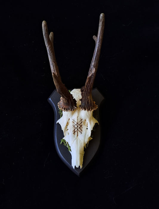 Wyrd Deer Skull