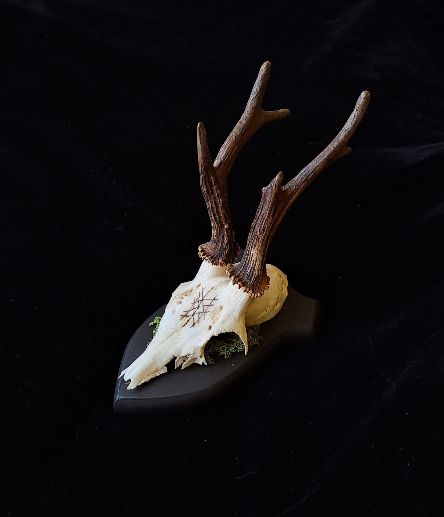 Wyrd Deer Skull