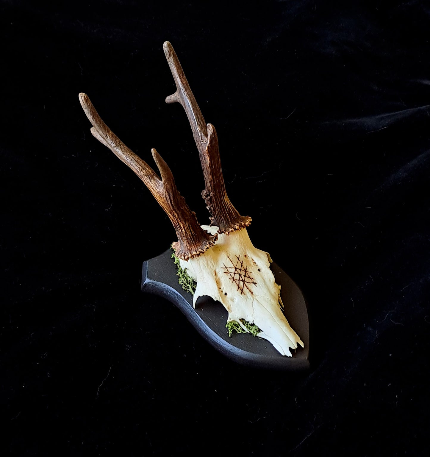 Wyrd Deer Skull
